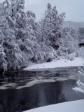 The River Spey with snow 2010